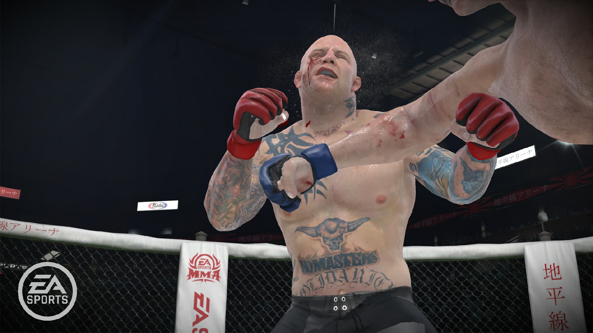 EA Sports MMA - Imagen 15
